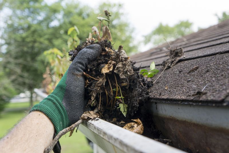 Clogged Gutter Clearing in Boulder, CO