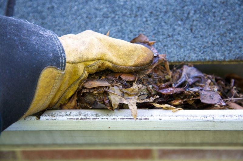 Gutter Blockage Removal in Annapolis, MD