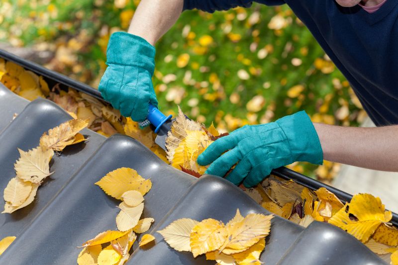 Commercial Gutter Cleaning in Littleton, CO