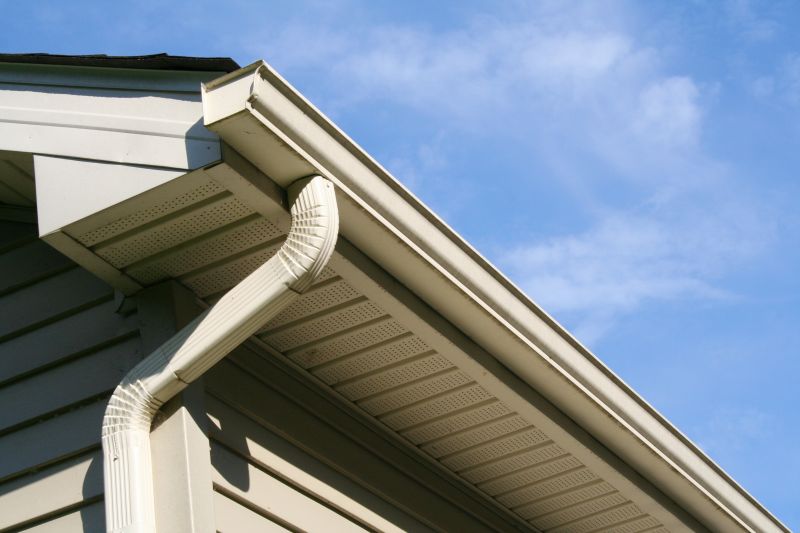 Downspout Snaking in Fredericksburg, VA