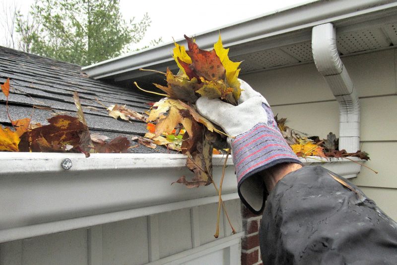 Gutter Cleaning in Monmouth County, NJ