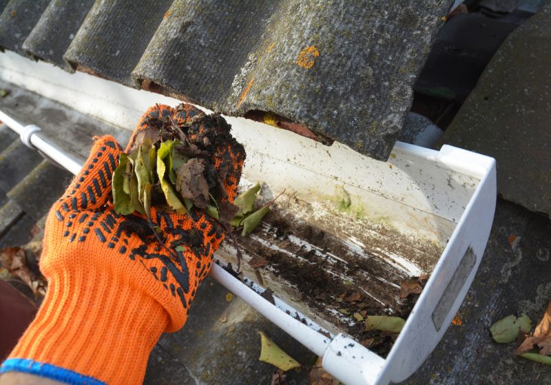 Gutter Cleaning in Arvada, CO