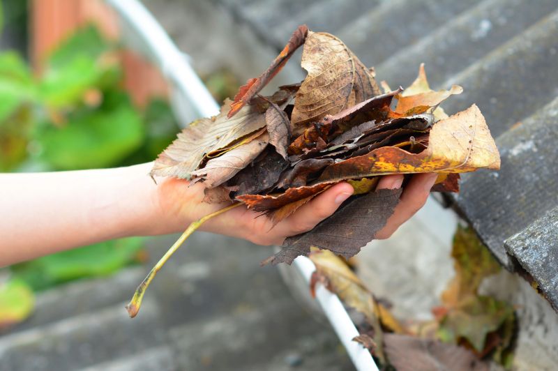 Gutter Leaf Clearing in Rochester, NY