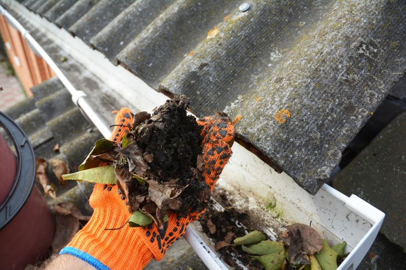 Gutter Leaf Clearing in Boulder, CO