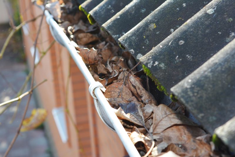 Gutter Leaf Clearing in Morris County, NJ