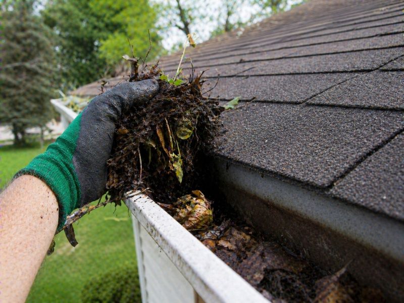 Gutter Maintenance in Fredericksburg, VA
