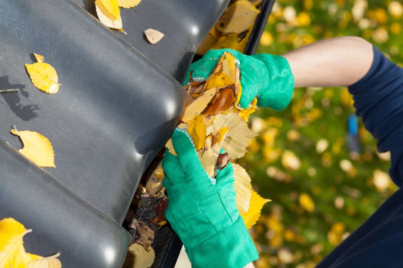 Gutter Maintenance in Richmond, VA