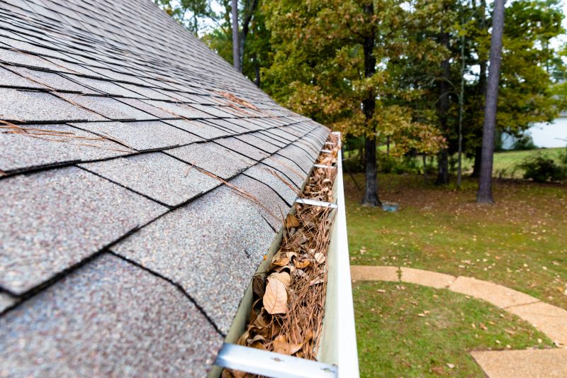 Gutter Pine Needle Removal in Frederick, MD