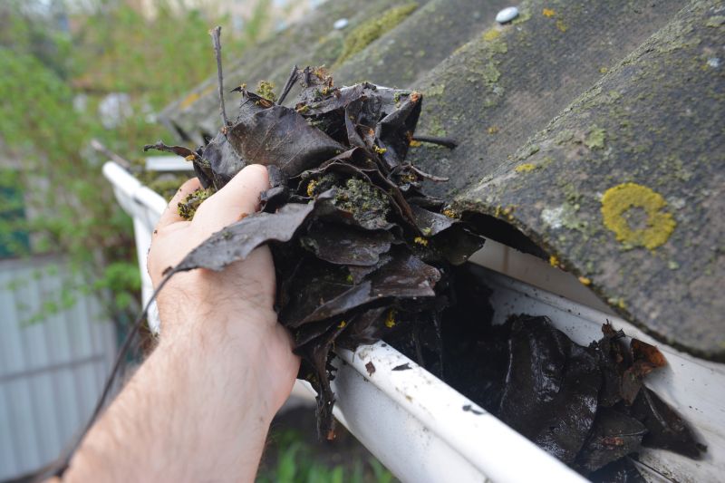 Rain Gutter Clearing in Longmont, CO