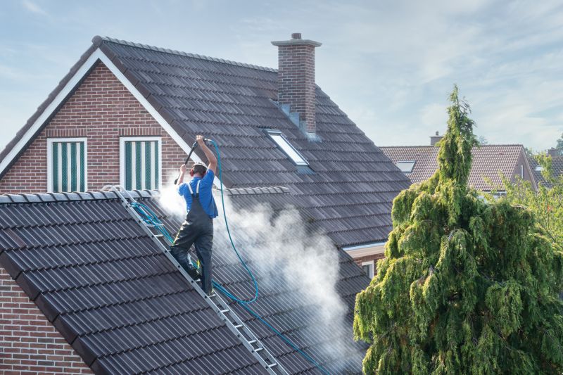 Residential Roof Cleaning in Vancouver, WA