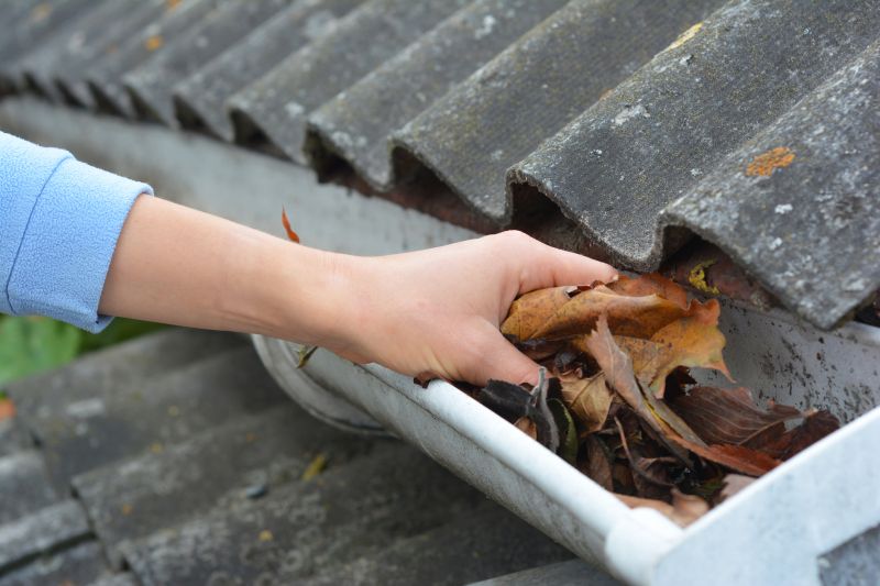 Roof Gutter Cleaning in Fredericksburg, VA